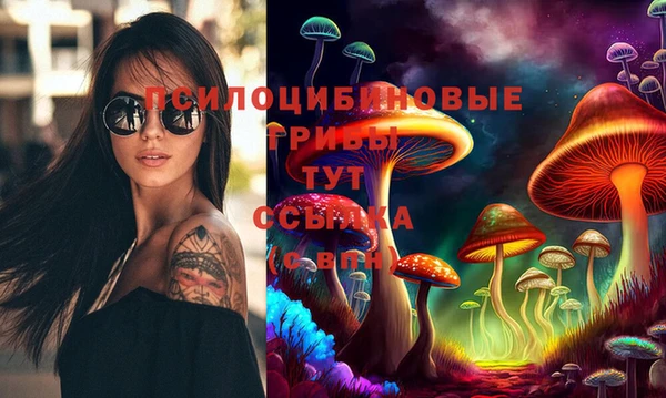 гидропоника Армянск