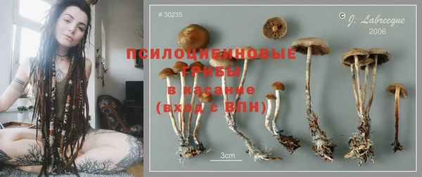 гидропоника Армянск