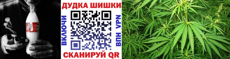 Купить где  Приморско-Ахтарск  Канабис Amnesia 